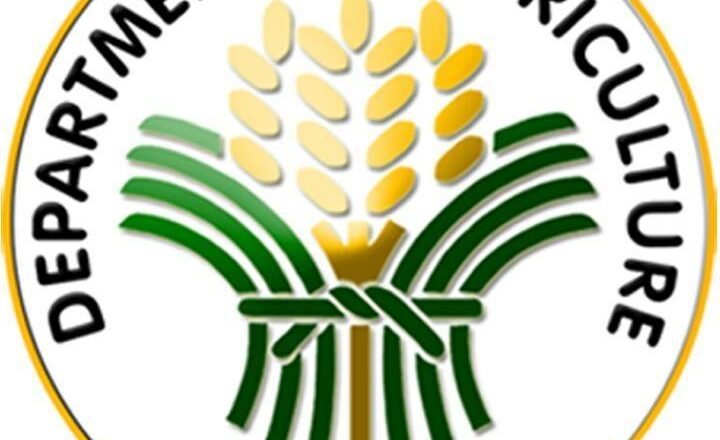 DA urges LGUs to ensure pesticide safe agri products