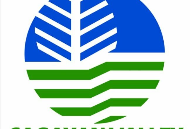 DENR CV donates lumber for Quirino village evacuees