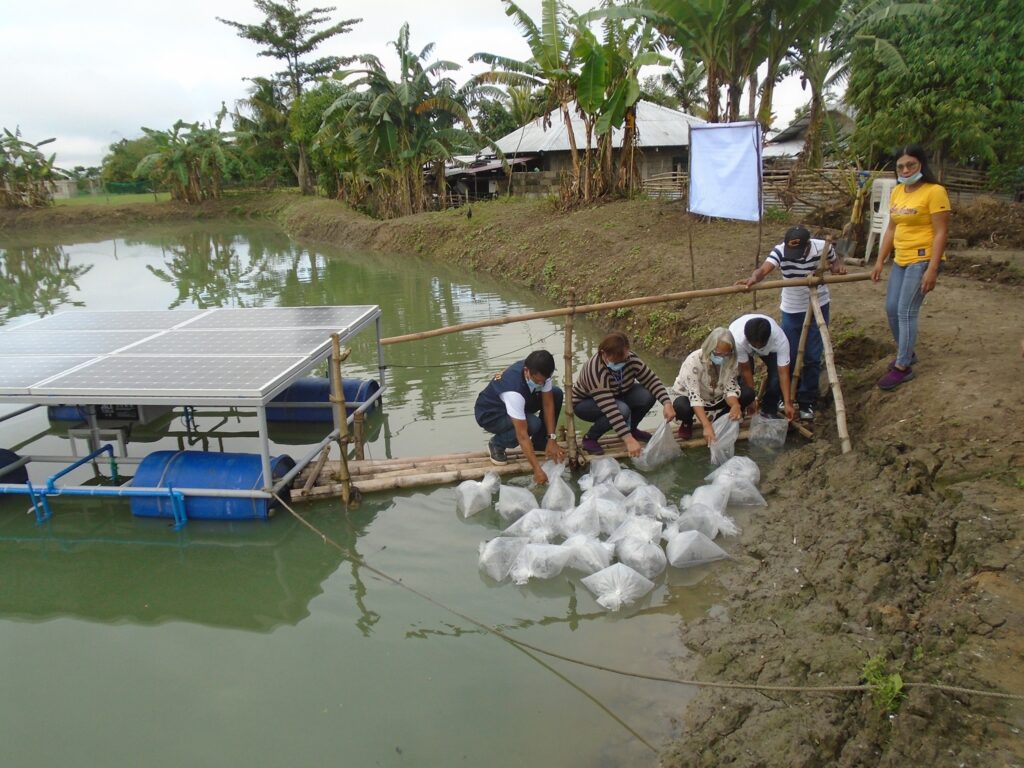 The Solar Venturi System can increase the yield of fishponds by up to three times. PHOTO FROM BFAR REGION 2