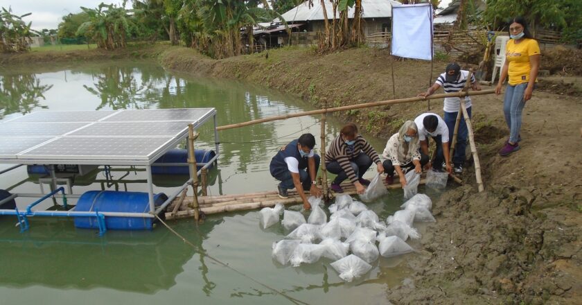 BFAR taps solar energy to increase fish yield