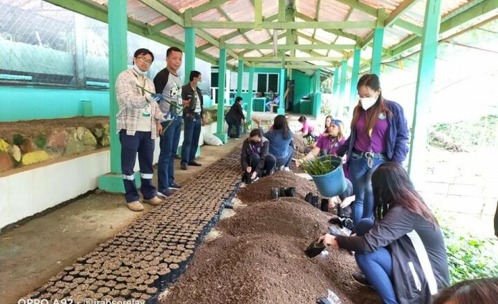 NVizcaya prepares bamboo propagules for BBBP