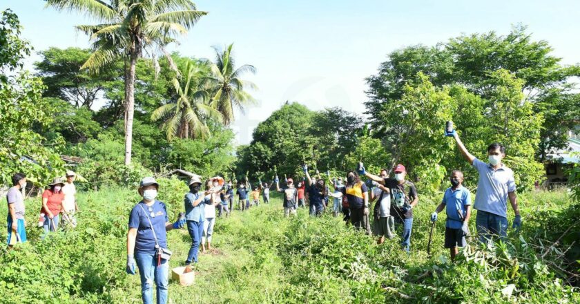 FCF holds ‘I plant for life’ tree planting activity