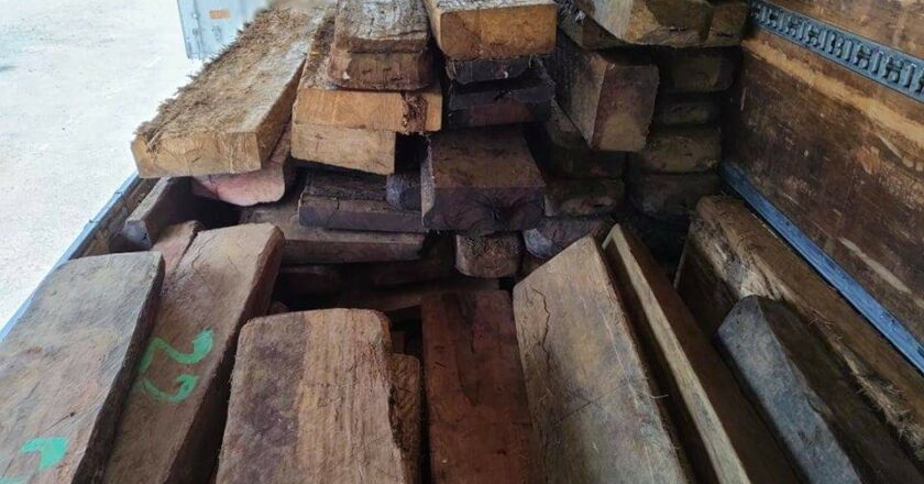 4 illegal loggers nabbed in Cagayan