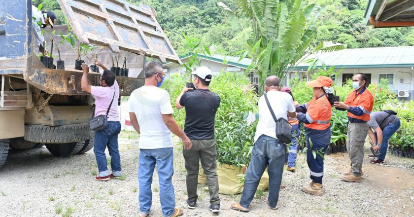 British mine firm donates bamboo seedlings to Diffun town