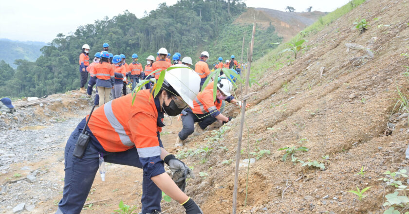 FCF Minerals holds symposium, plants 500 bamboo seedlings