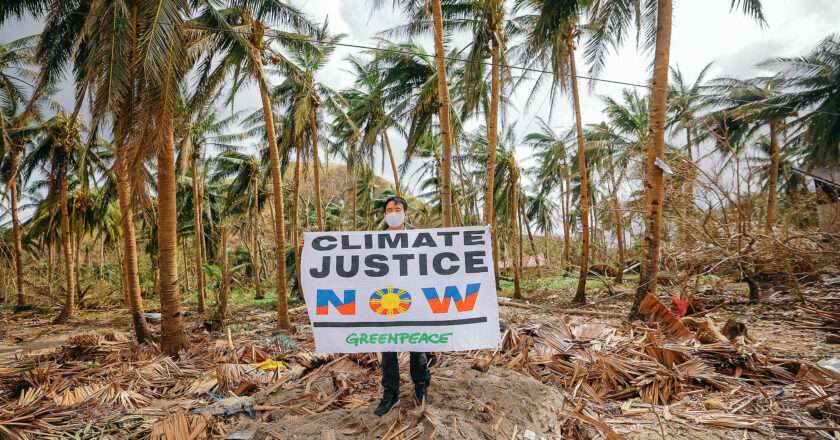 Greenpeace: Candidates must present a meaningful agenda to address the climate and environmental crises