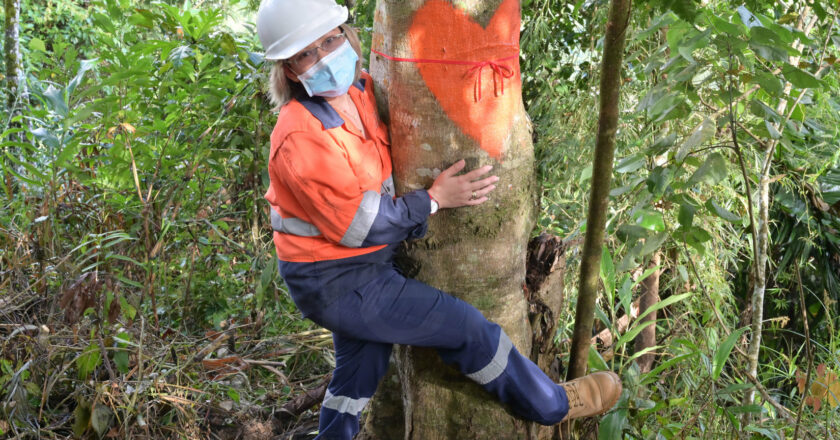 FCF Minerals celebrates hearts day through tree hugging 