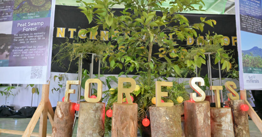 FCF Minerals joins forest day celebration