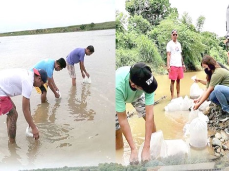 BFAR builds eel stocks in Cagayan River