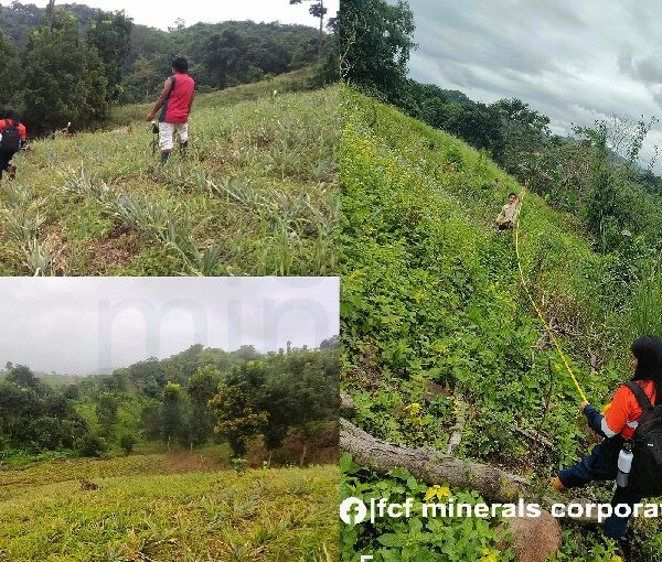 FCF Minerals boosts agroforestry projects