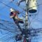 Nueva Vizcaya electric coop, partners restoring power