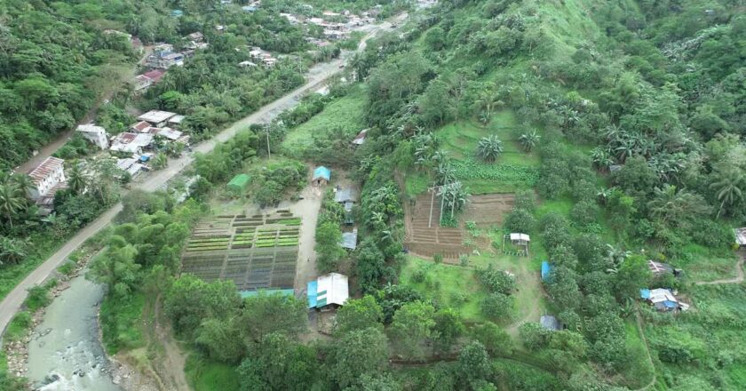 Mine firm in Nueva Vizcaya contributes P5.71-B in taxes, fees, duties