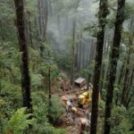 Woggle’s EP Suspension: A Litmus Test for Regulatory Credibility, Not a Company Condemnation